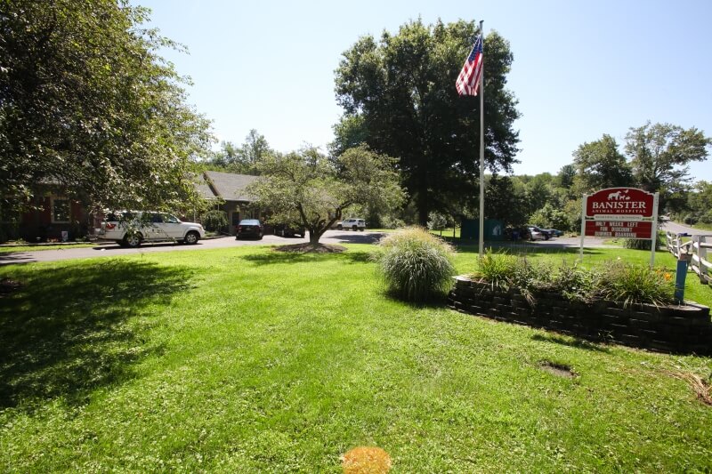 Banister Veterinary Hospital NY about us